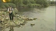 Bayer Full - Ile jabłek na jabłoni