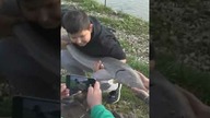 Olbrzymi jesiotr 140 cm prehistoryczna ryba