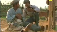 The Color Purple - 1985 Lektor PL