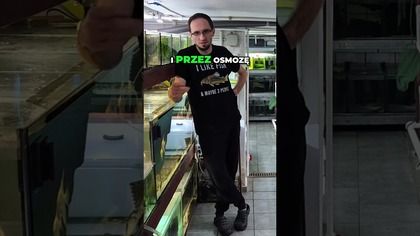 Deszczówka i recykling wody w akwarium 