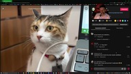 Przegląd Tik Toka #27 / 18+ / Konkret, bez owijania w bawełnę.