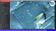 Cz14 Ciekawostki pod Mikroskopem - Struktury typu Morgellons, kt&oacute;re żywią się kryształami - L