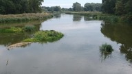 Cudze chwalicie, swego nie znacie