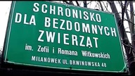 Edek - uśmiechnięty pies