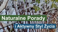 Zdrowe Kury i Kondycja Zimą: Naturalne Porady i Aktywny Styl Życia