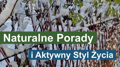 Zdrowe Kury i Kondycja Zimą: Naturalne Porady i Aktywny Styl Życia