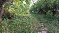 wilcza gora -samsung a52s + gimbal spg