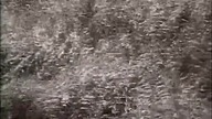 RUCHOME PIASKI (1969)