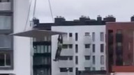 Żuraw i nielegalny pasażer na gapę