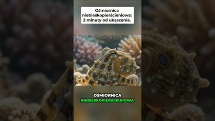 Najbardziej TRUJĄCE stworzenia na Ziemi! Ostateczna lista.  #top5 #ciekawostki #dlaciebie #animals