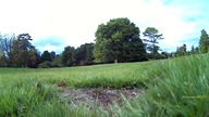 Golders Hill Park from the air