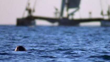 Waterworld - redjedifraction