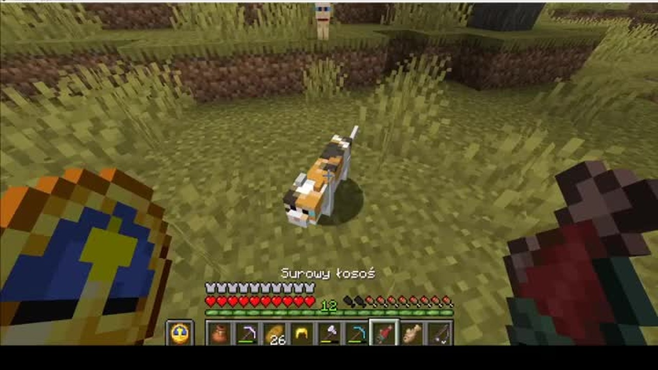 Kitty #minecraft #gaming #Game #Short #Shorts #Kitten #Cat #Cats #Kitty ...