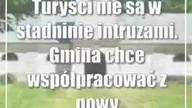 Turyści nie są w stadninie intruzami.  Gmina chce współpracować z nowym prezesem