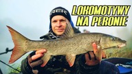 443 BRZANY Z ODRY CZAS START - FEEDER LOKOMOTYWY - REWANŻ Z @WedkarstwoBezSpinki