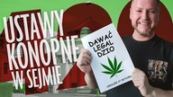 SEJM: USTAWY KONOPNE ZŁOŻONE! JAKIE SĄ W NICH PRZEPISY? CO NAS TERAZ CZEKA?