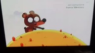 Pompon Little Bear (2)