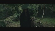 Wiedzmy z Amityville - Witches Of Amityville Academy 2020 aut.pl