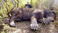 8 NAJWIĘKSZYCH ZWIERZĄT Na Ziemi