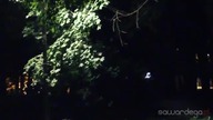 Autumn Ghost Prank