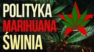 Jak powstała młoda lewica?