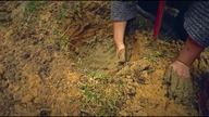 Gotowanie w glinianej misie - leśne gotowanie Bez Garów