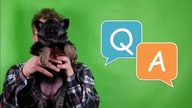 Pierwsze Q&A ! Odpowiadam na Wasze pytania !