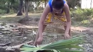 WOW!Amazing Cambodia Women Lady Traditional Fishing How to Catch Fish Water Snake Simple Net Fishing