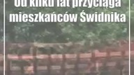 Świdnik: Tężnia znów zaprasza