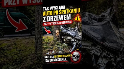 To tylko drzewo.  A skutki pokazują, że z prędkością nie ma żartów.   #shorts #droga