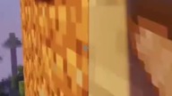 Najspokojniejszy gracz Minecraft #shorts