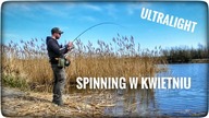 Spinning w kwietniu // ultralight // 2022