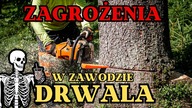 Zagrożenia w zawodzie DRWALA || Okiem ZULa