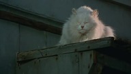 Ten film ma 50 lat ...  lektor pl ...