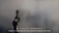 4 News, Events and Suspected Images of Real Dragons by @user-tj6mf5rk6u