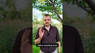 Świadkowie Jehowy praktycznie wycofali zakaz transfuzji krwi