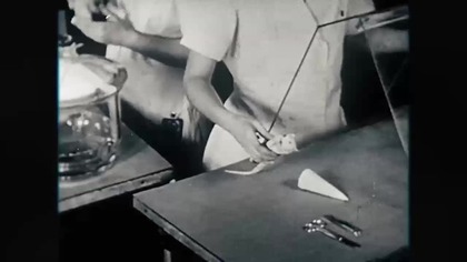 David Duchovny- archiwum tajemnic - 7