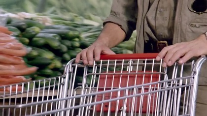 T. HILL.  - Renegade.  (1987) napisy