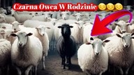 1989.  Czarna Owca W Rodzinie....