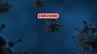 NAC Unleashed The Super Molecules Surprising Health Secrets! (Part 4) #shorts #gym#shorts #gym