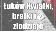 Łuków: Kwiatki, bratki i złodzieje
