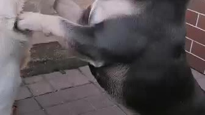 77ccbf75-8cd5-484f-a22a-2e42faa6c037