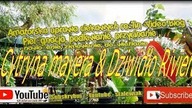 Odc. 432-Uprawa cytryny meyera + dziwidło rivieri-Wiosna 2018 Ogólne porady