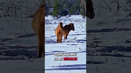 AQMr76CDR8APcKYfziaofxcOJdc3Iw97mOVP2mgyOsJLTtlI UfSKSmnCfPwAajMcIuvGSEqIs7m1wB3 0fWFfoGQo9uf3PX4hs