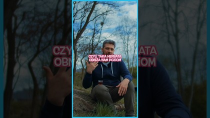 Czy warto pić mocną herbatę? Plusy i minusy długiego parzenia