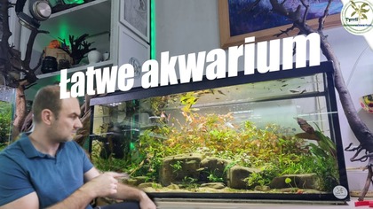 100l akwarium od zera  krok po kroku 