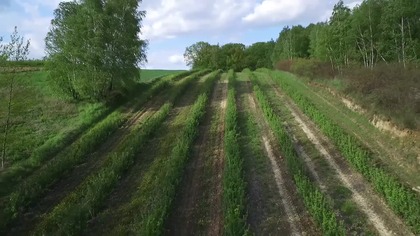 Zabłocie (gm.  Markuszów) i okolice z lotu ptaka