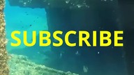400 feet shipwreck #Shorts #sailing #diving #shipwreck