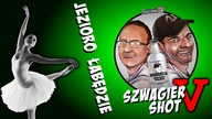 Jezioro łabędzie - Szwagier SHOT 5