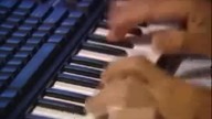 Gość wymiata na keyboardzie 